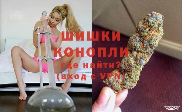 ПСИЛОЦИБИНОВЫЕ ГРИБЫ Гусиноозёрск