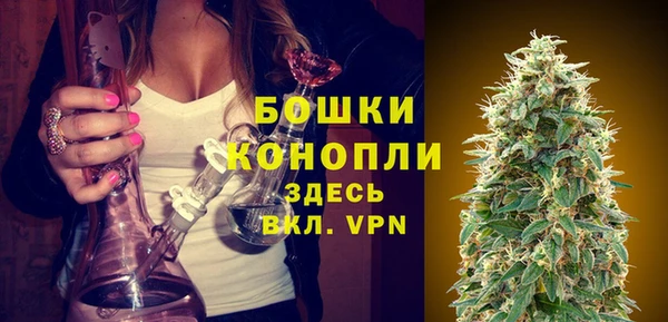 спайс Гусев