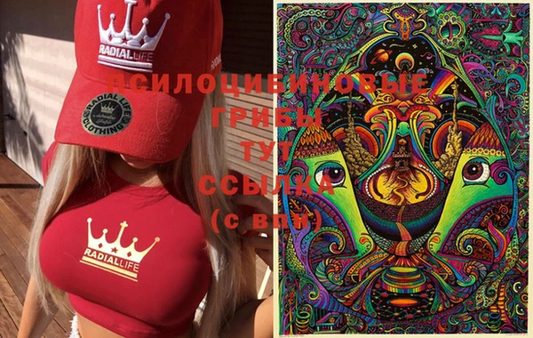 МДПВ Гусь-Хрустальный