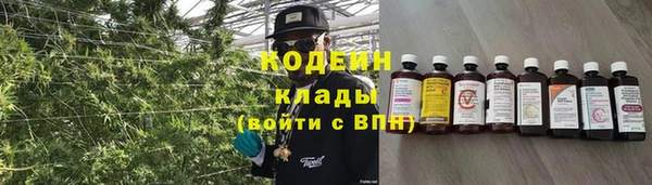 спайс Гусев