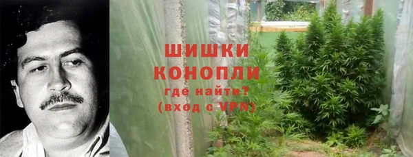 ПСИЛОЦИБИНОВЫЕ ГРИБЫ Гусиноозёрск
