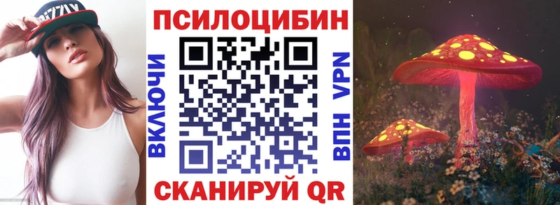 Псилоцибиновые грибы Cubensis  Купить  Коряжма 